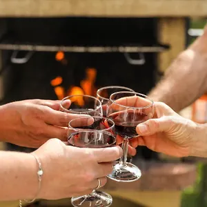 Le Nature Syrah Gaillac Entre Albi / Toulouse Hébergement de vacances